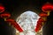 Red lanterns, Chinese traditional bright red lanterns in dark tunnel