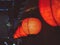 Red Lanterns lighting decoration Japan nightlife Bar street district