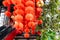 Red lanterns, Red honeycomb pom-pom paper ball decoration