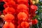 Red lanterns, Red honeycomb pom-pom paper ball decoration