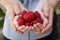 Red large strawberries lie in the hands of a light-skinned girl with a manicure. The hands of the girls are hugged by a young man