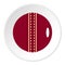 Red leather cricket ball icon circle