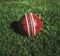 Red leather cricket ball on a lawn.