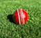 A red leather cricket ball on a lush lawn.