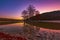 Red leaves in autumn on the branches of the swamp cypress trees in the water of a mountain lake the valley of Sukko