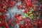 Red leaves of decorative grapes on wall fall