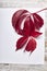 Red leaves on empty white cardboard for invitations. Party concept