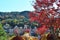 Red leaves at Everland amusement park Resort, South Korea