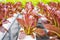 Red leaves lettuce salad plant in hydroponics vegetables farm system