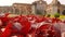 The red leaves and the old mosque behind