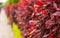 Red leaves of photinia bushes close up. decoration and design of streets, plant fence