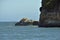 Red-legged cormorant birds on the rocky cliff in the sea