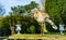 Red legged seriema standing on a table in a garden, tropical bird from the grasslands of Brazil