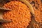 Red Lentils in Bowl on Wooden Table