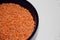 Red Lentils (Lens culinaris) Close-up in a bowl on a white background,