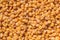 Red lentils texture background. Close-up healthy organic lentil seed. Natural nutriotion diet