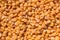 Red lentils texture background. Close-up healthy organic lentil seed. Natural nutriotion diet