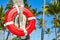 Red life buoy hanging on palm tree