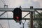 Red light sign above railroad track for stop train at railway station Den Haag Mariahoeve in the Netherlands