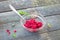 Red lingonberries cowberries
