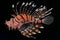 Red lionfish - one of the dangerous coral reef fish. Neural network AI generated