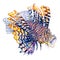 Red lionfish painted in watercolor