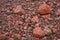 Red little stones on the road closeup