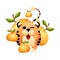 Red little tiger as symbol of 2022 Chinese New Year. Happy tailed tiger gives ripe golden oranges. Cute character with