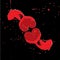 Red loving koi fishes with tales in shape of hearts and bubbles on black background, valentines day card