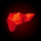 Red low poly human liver on a black background. Abstract anatomy organ. Liver 3D polygon style.