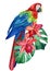 Red macaw Parrot, palm leaves and tropical flowers orchid, watercolor botanical illustration