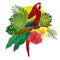 Red macaw sit on branch of tree