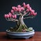 Red Magnolia Bonsai Tree: A Popular Choice For Interior Space