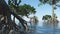 Red mangroves on Florida coast 3d rendering