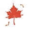 Red maple fallen autumn seasonal leaf from tree vector illustration