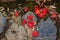 Red maple leaf falling on ground