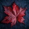 Red maple leaf with raindrops on a rough gray background, AI-generated.