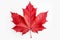 a red maple leaf whispers the soul of Canada, Generative AI