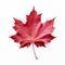 a red maple leaf whispers the soul of Canada, Generative AI