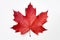 a red maple leaf whispers the soul of Canada, Generative AI