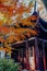 Red maple leaves  and Chinese classical architecture in autumn