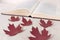 Red maple leaves lie in front of an open book. The concept of starting education and returning to school