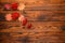 Red maple leaves and red arrow-wood berries form a festive diagonal garland at the top of a wooden plank board