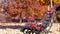 Red maple leaves on wooden bench with autumn park background