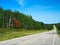 Red Maple tree along highway in northern Minnesota