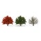 Red maple tree autumn, summer, winter isolated on white background. 3D illustration