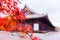 Red maple tree in Japan shrine autumn season