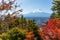 Red maple tree and mountain Fuji