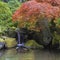 Red Maple Tree Over Waterfall Pond