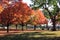 Red maples on the Washington mall